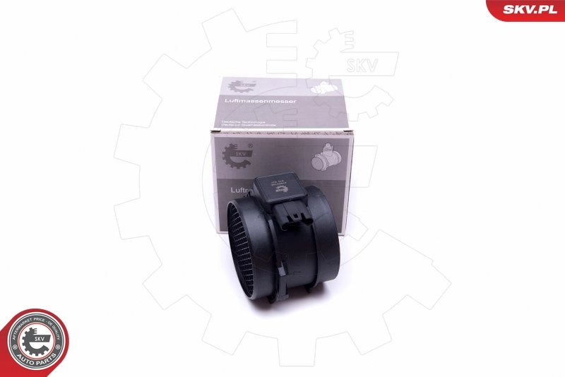 Mass Air Flow Sensor